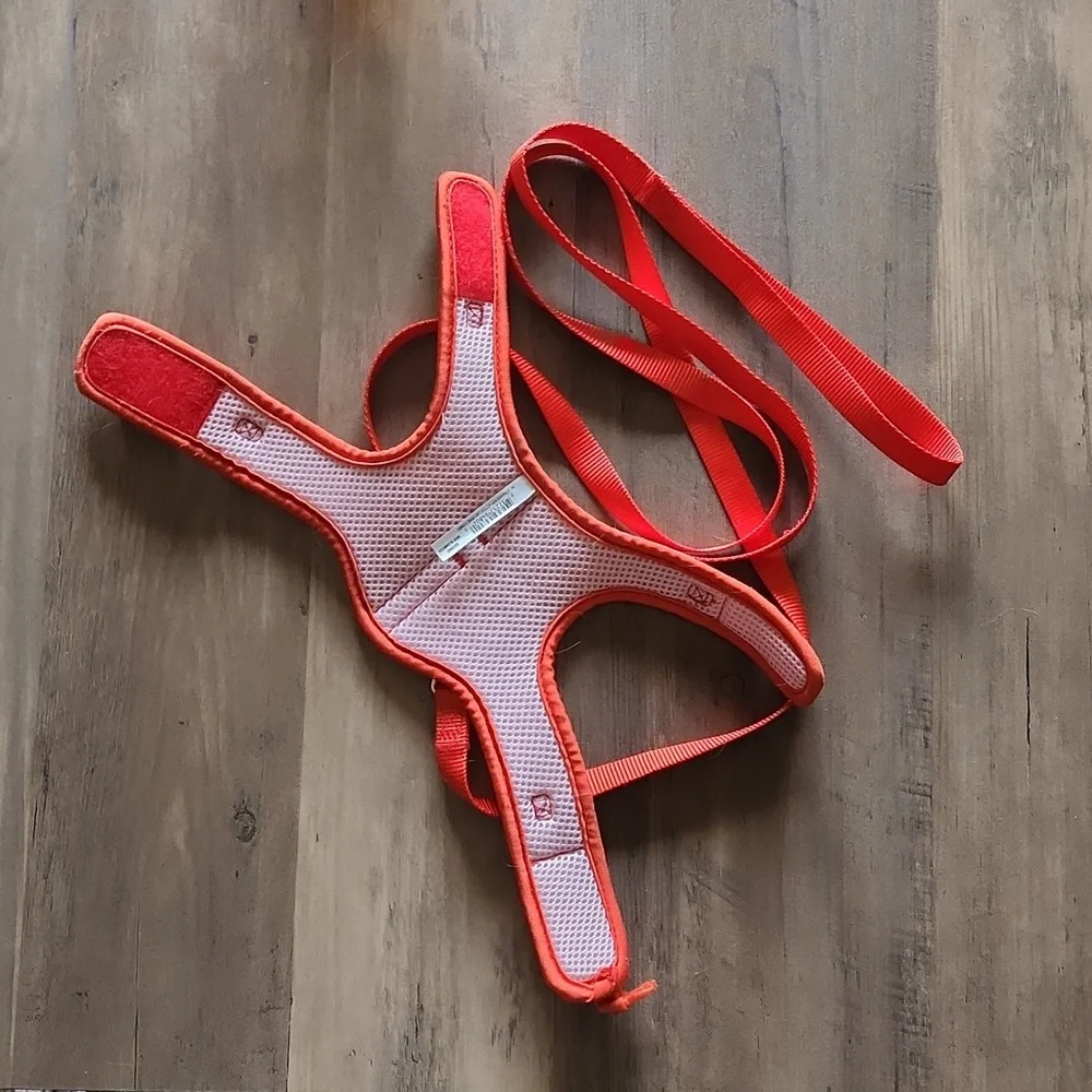 Lightly Used Strawberry Cat Harness With Leash Kitten Size